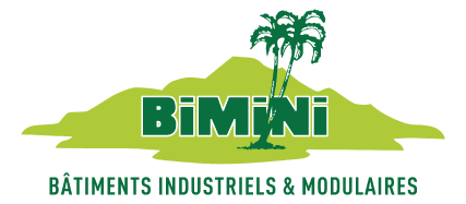 LOGO-BIMINI-VECTORIEL